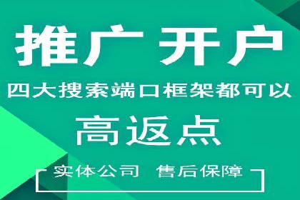 SEM主管实战案例：广告投放策略优化
